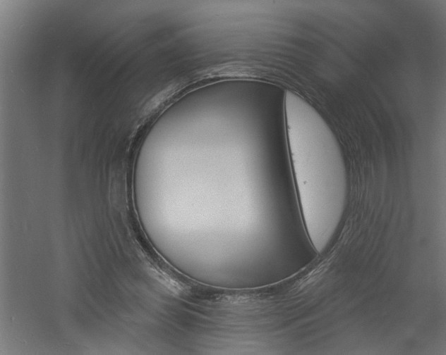 X0000060740349200511100917