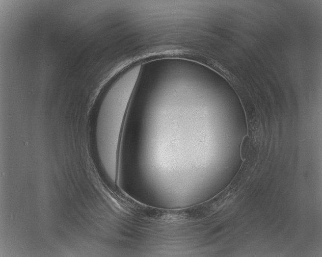 X0000060740350200511100917