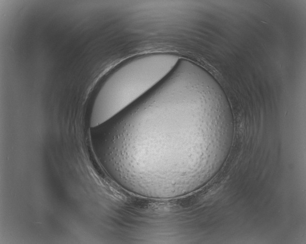 X0000060740351200511100917