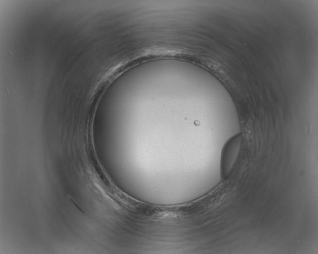 X0000060740352200511100917