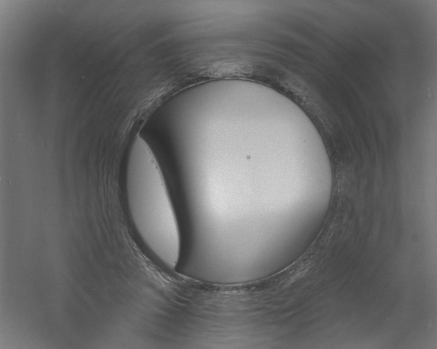 X0000060740353200511100917