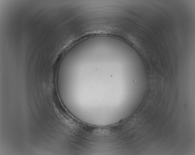 X0000060740354200511100918