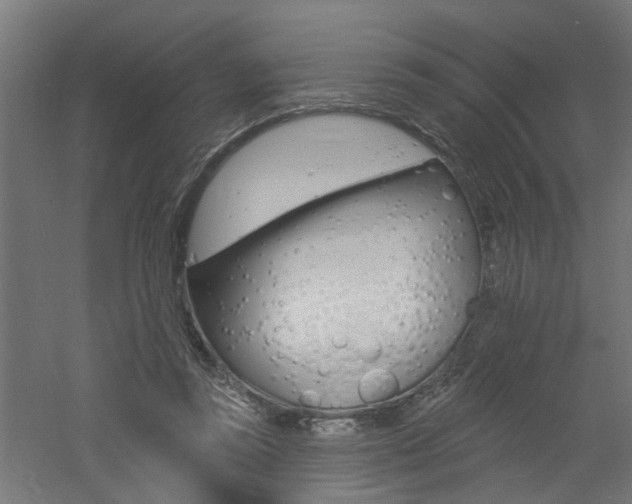 X0000060740355200511100918