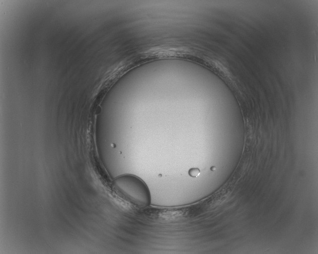 X0000060740357200511100918