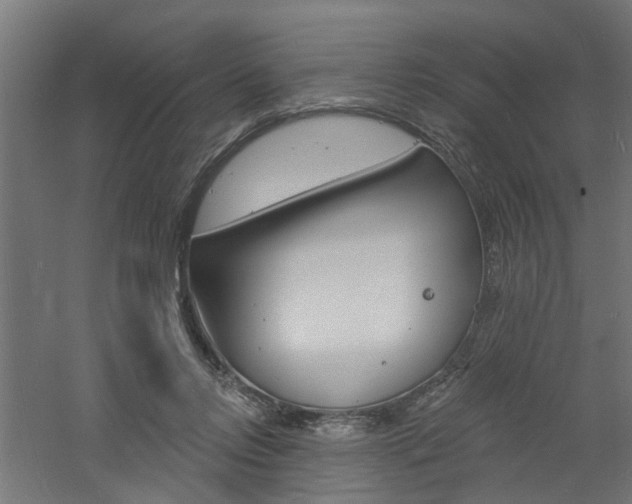 X0000060740358200511100918