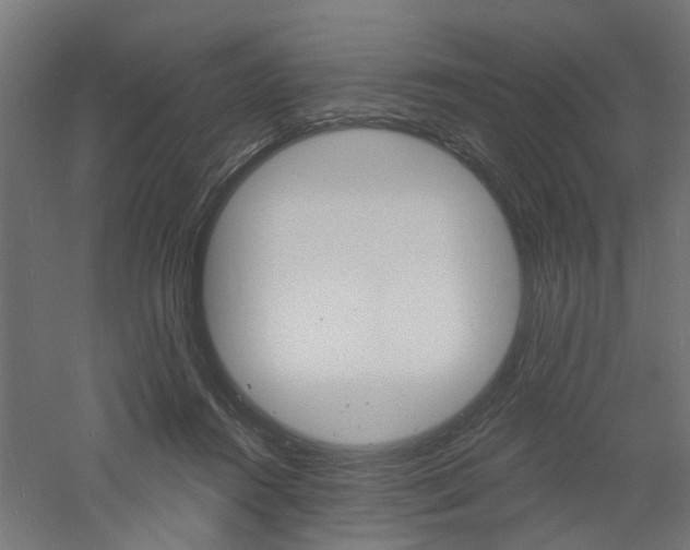 X0000060740360200511100918