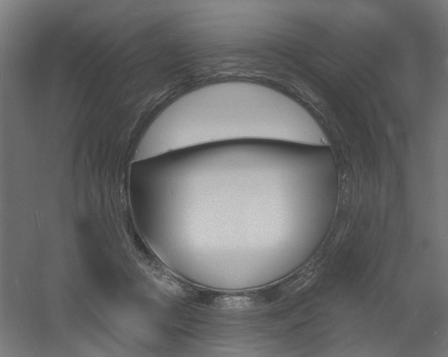 X0000060740361200511100918