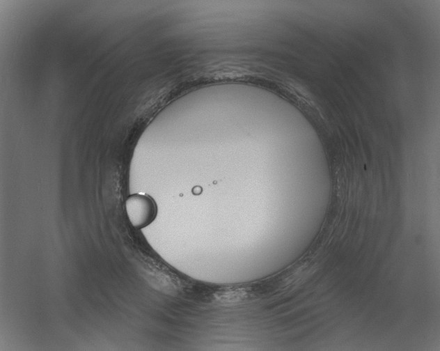 X0000060740362200511100918