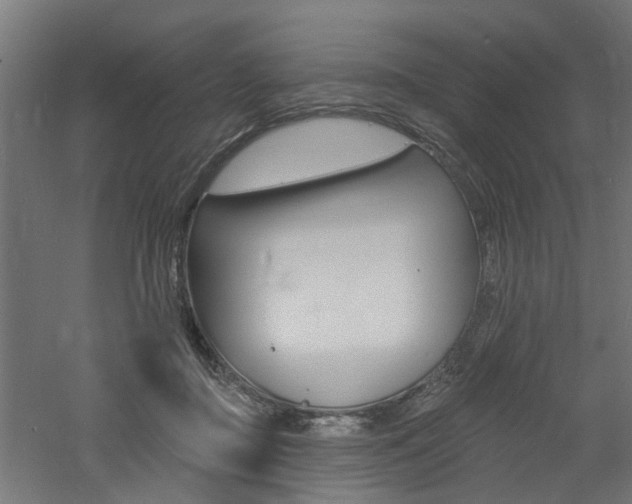 X0000060740363200511100918