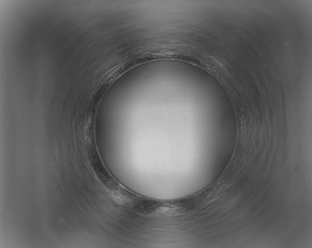 X0000060740364200511100918