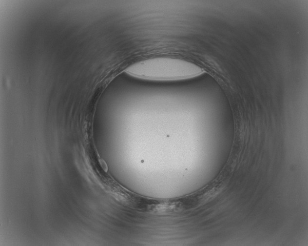 X0000060740366200511100918