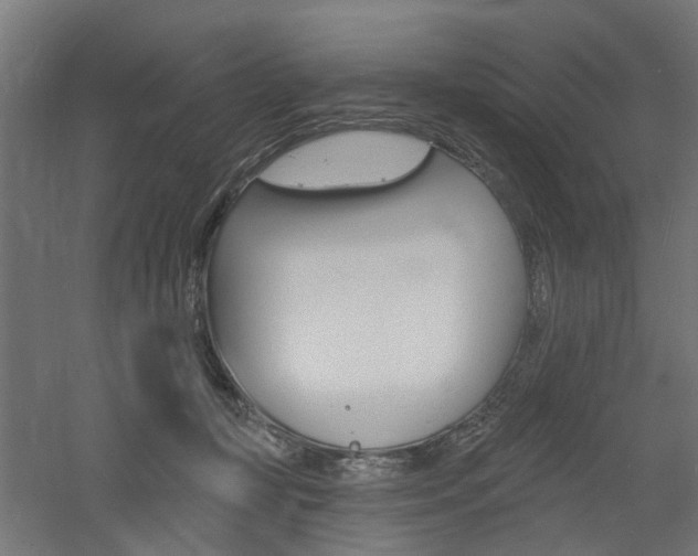 X0000060740367200511100918