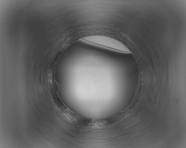 X0000060740368200511100918