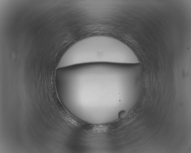 X0000060740369200511100918