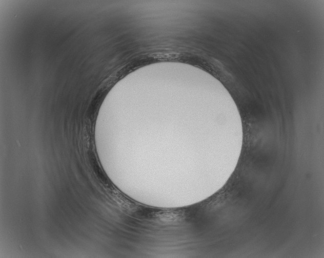 X0000060740370200511100918