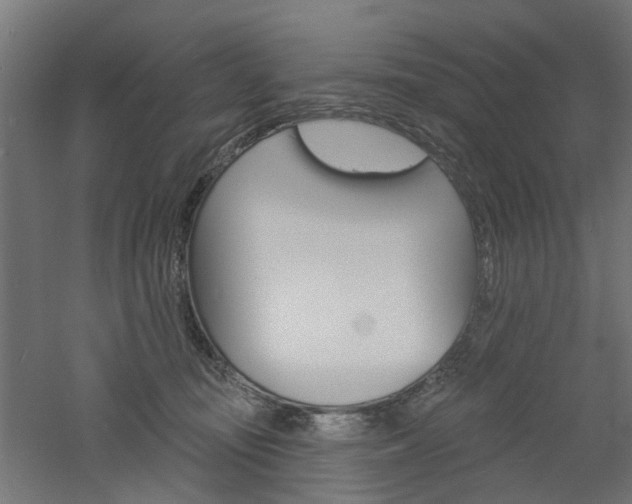 X0000060740371200511100918