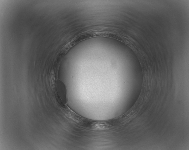 X0000060740372200511100918