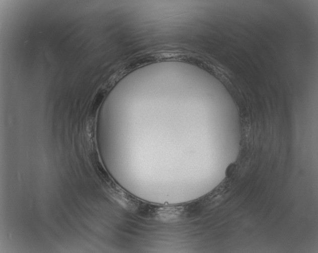 X0000060740373200511100918