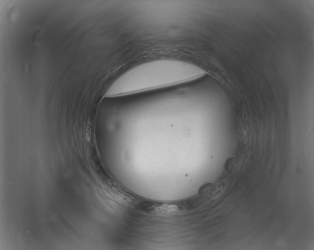 X0000060740374200511100918