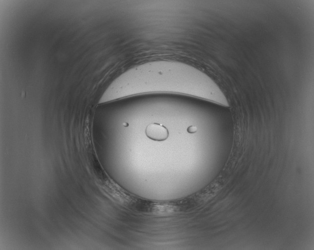 X0000060740376200511100918