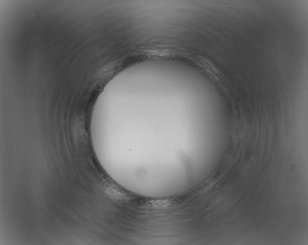 X0000060740377200511100918