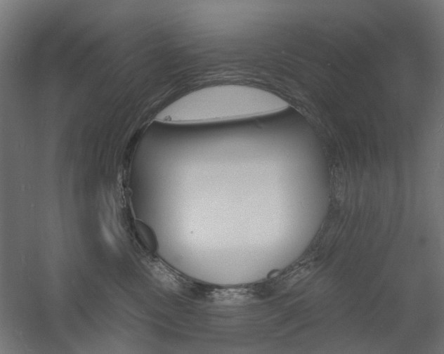 X0000060740378200511100918