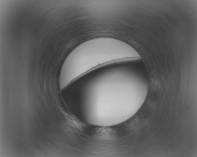 X0000060740379200511100918