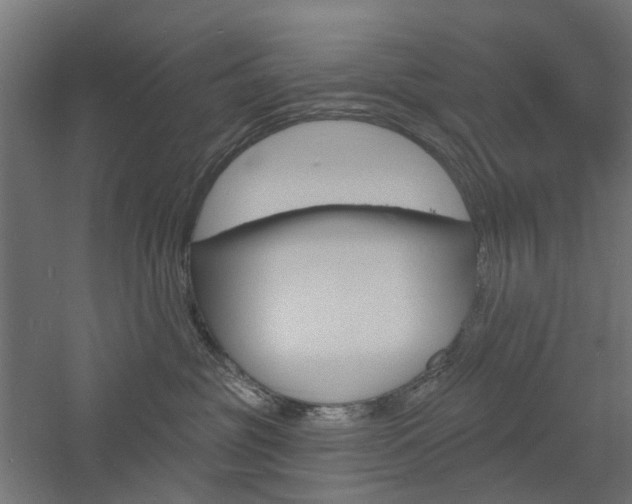 X0000060740381200511100918