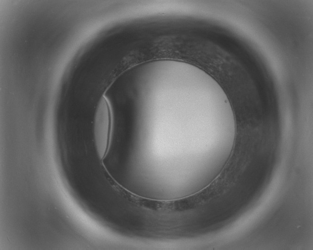 X0000060740382200511100918