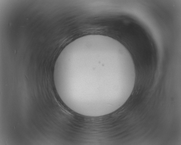 X0000060740383200511100918