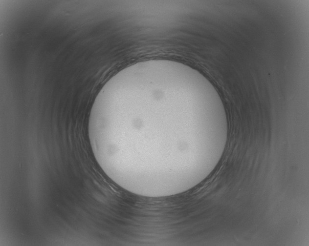 X0000060740384200511100918