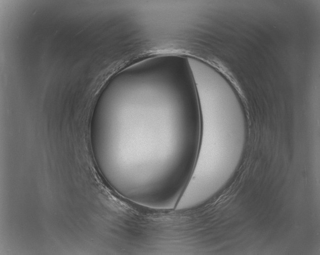 X0000060740385200511100917