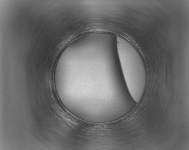 X0000060740386200511100917