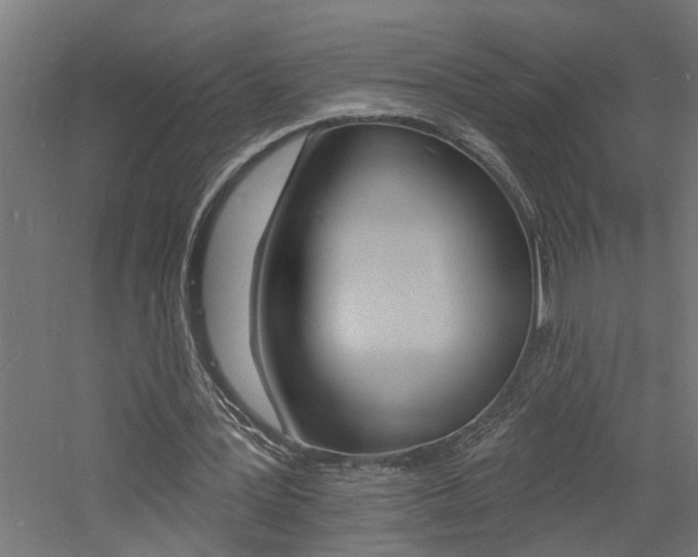 X0000060740387200511100917