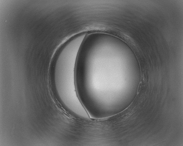 X0000060740388200511100917