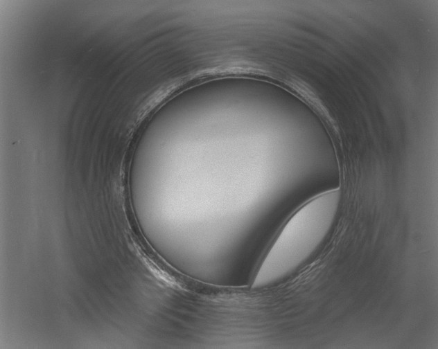 X0000060740389200511100917