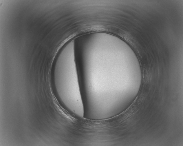 X0000060740390200511100917