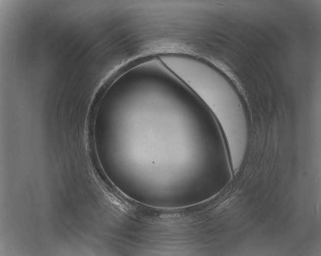 X0000060740391200511100917