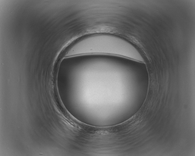 X0000060740392200511100917