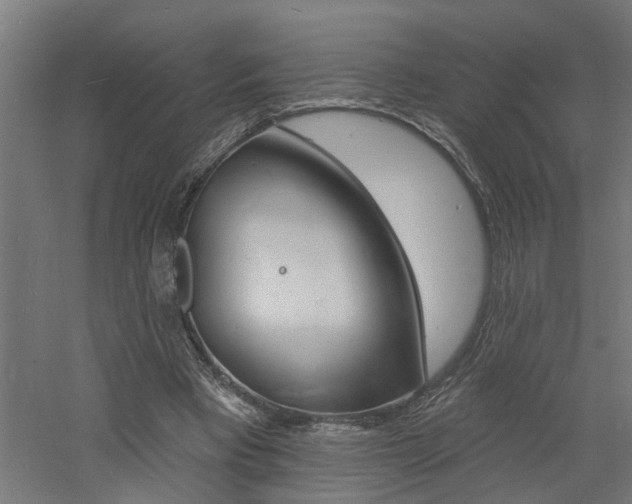 X0000060740393200511100917