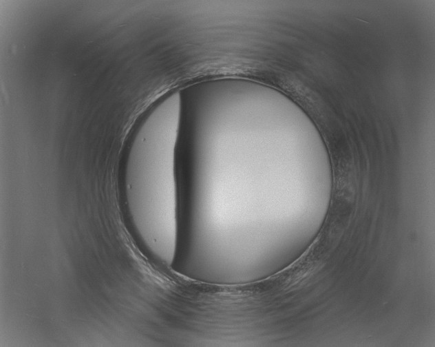 X0000060740394200511100917