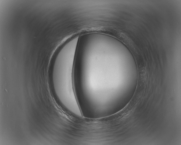 X0000060740395200511100917