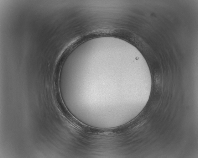 X0000060740396200511100917