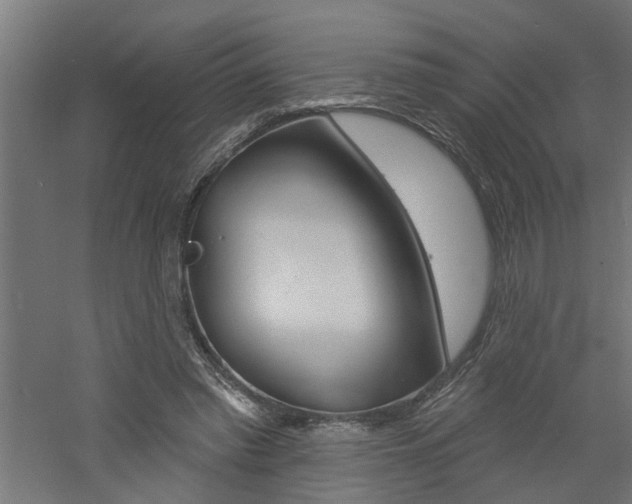 X0000060740397200511100917