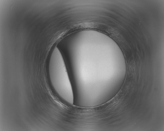 X0000060740398200511100917