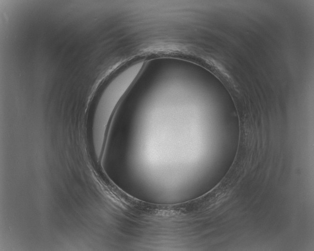 X0000060740399200511100917