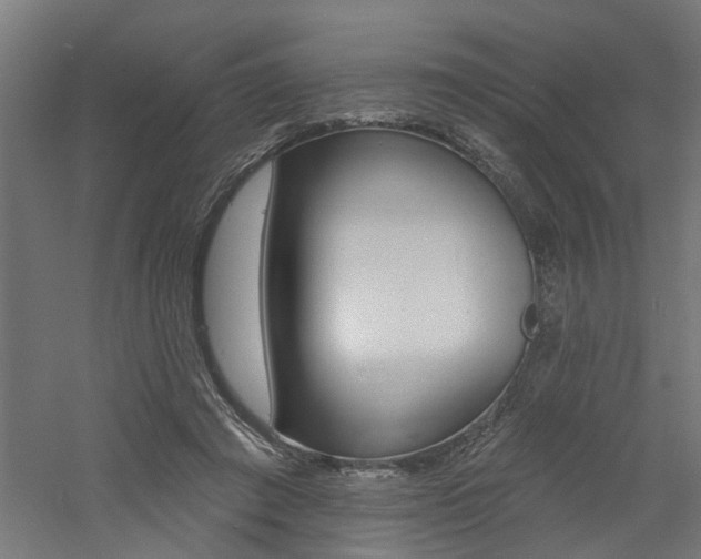 X0000060740401200511100917