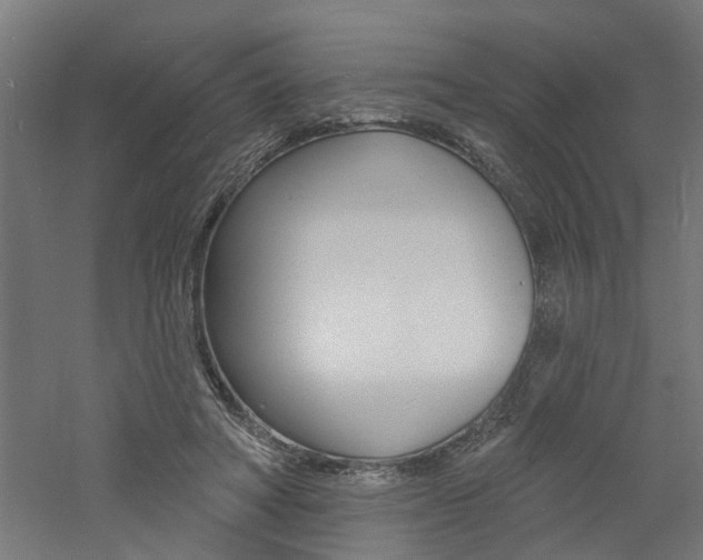 X0000060740402200511100917