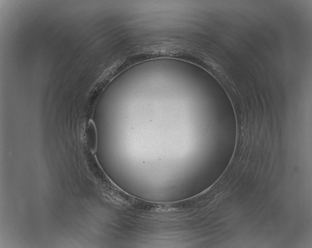 X0000060740403200511100917