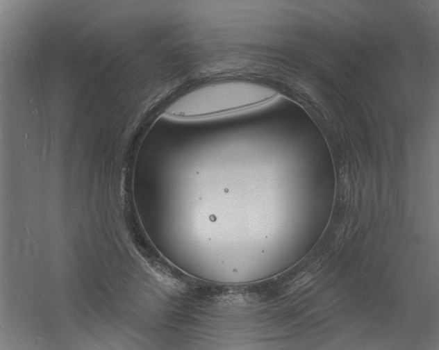 X0000060740404200511100917